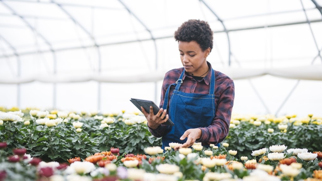 Understanding thought leadership