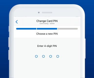 Chip and PIN | Contactless Payments Australia | Amex AU