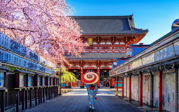 Curate your next adventure in Japan