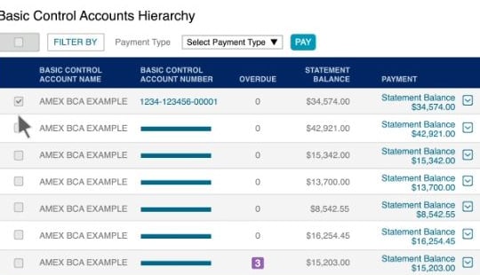 amex payee account number