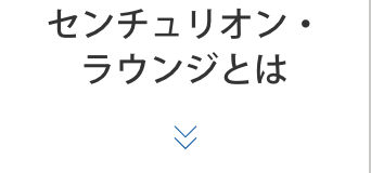 センチュリオン・ラウンジとは