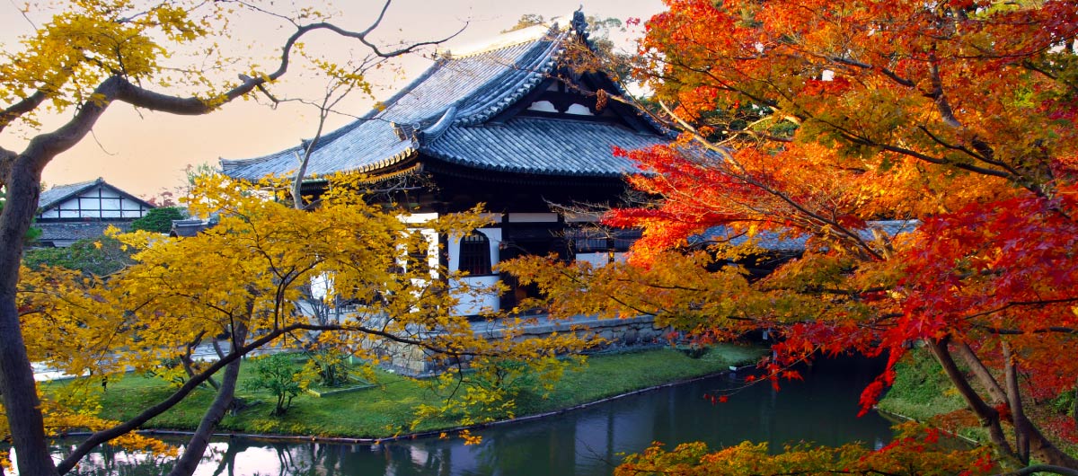 紅葉の高台寺 プレミアムアクセス Only for Amex｜クレジットカードは