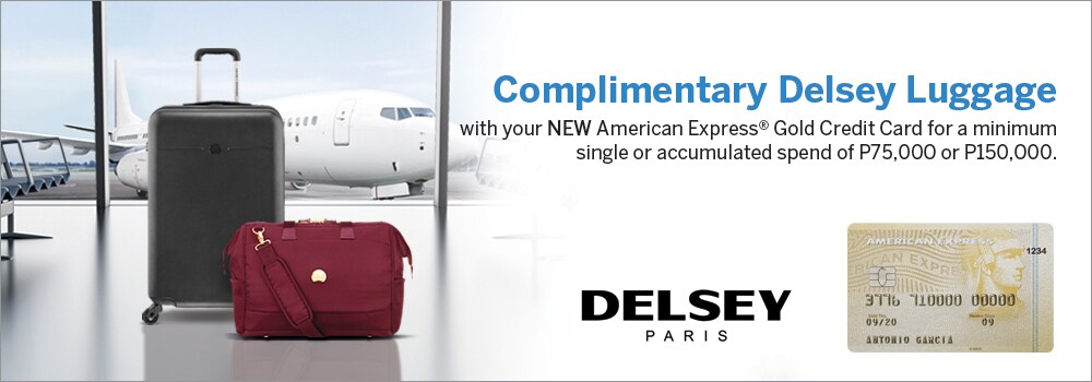 delsey aircraft