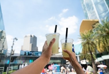 茶漾夏日