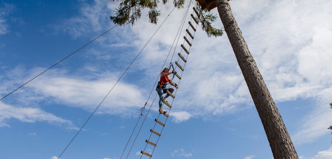 Eine Frau klettert an einer Hängeleiter zu einer Plattform im Baum herauf