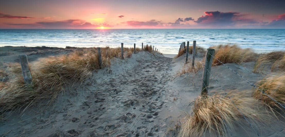 Ein Sandweg mit Dünengras und der untergehenden Sonne über der Ostsee