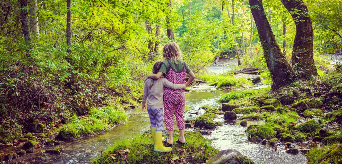 Kinder an einem Fluss im Wald