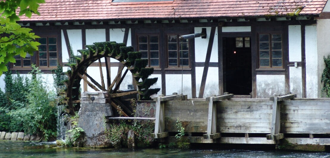 Eine Mühle mit Wassermühle vor einem Gewässer.