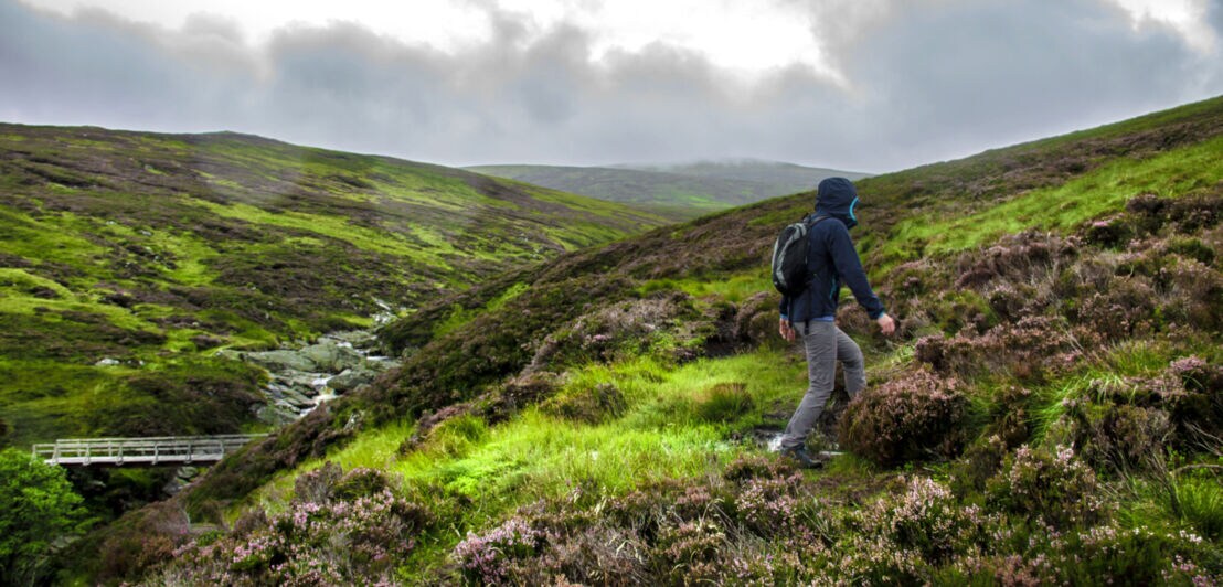 Eine Person wandert bei bewölktem Wetter über grüne Hügel, zwischen die sich ein kleines Flussbett schlängelt