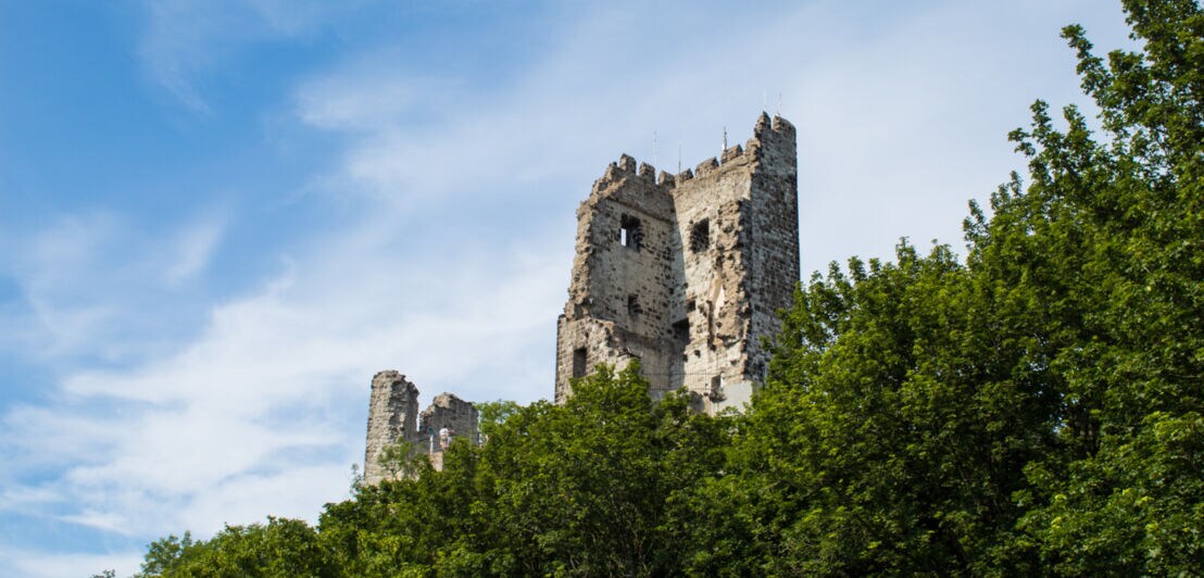Ruine der mittelalterlichen Burg Drachenfels