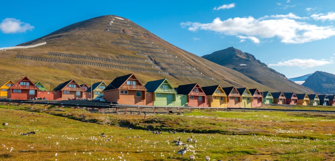 Aufgereihte bunte Holzhäuser in grüner Tundralandschaft mit Bergen im Hintergrund.