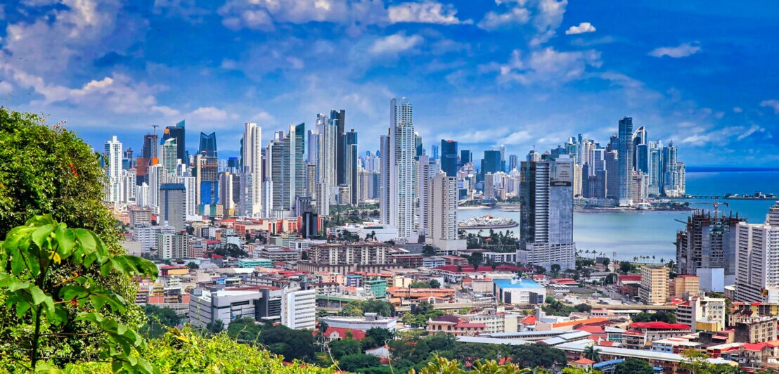 Panoramaaufnahme der Skyline von Panama City aus der Ferne mit Pflanzen im Vordergrund.