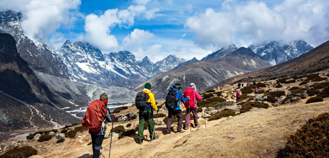 Rückansicht einer Gruppe Wandernde mit Gepäck und Wanderstöcken auf einem Pfad im Hochgebirge.