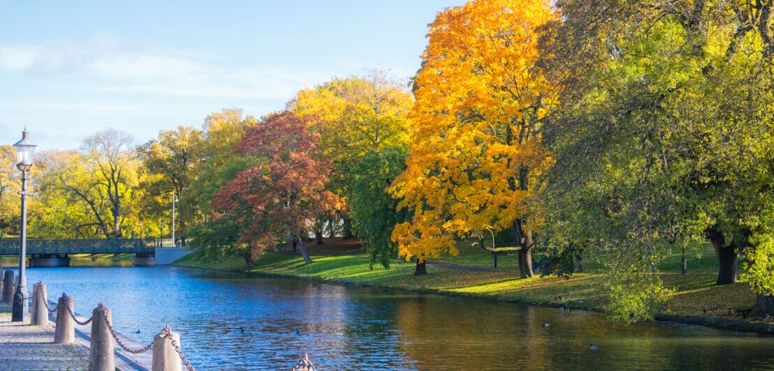 Kanalanlage in Göteborg, die von Bäumen mit bunten Blättern gesäumt ist.