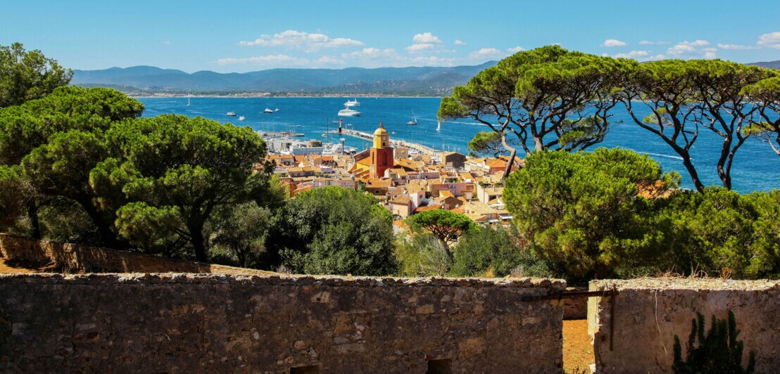 Panoramablick über Saint-Tropez am blauen Meer, im Vordergrund Steinmauer vor Pinien.