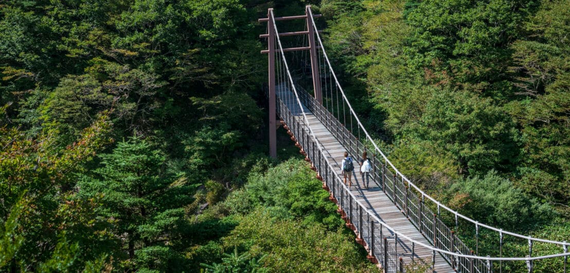 Hölzerne Hängebrücke, auf der sich zwei Personen befinden, führt in einen Wald auf dem Wanderweg Gwaneumsa auf der Insel Jejudo in Südkorea.