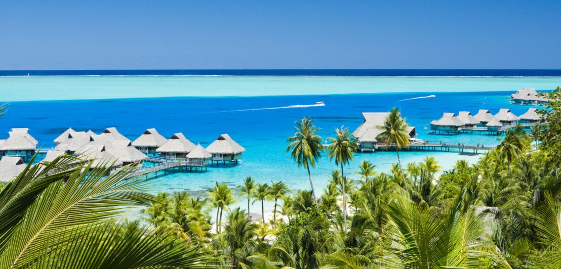 Hotelresort mit Bungalows auf Stelzen im türkisblauen Meer, im Vordergrund ein Palmenwald.