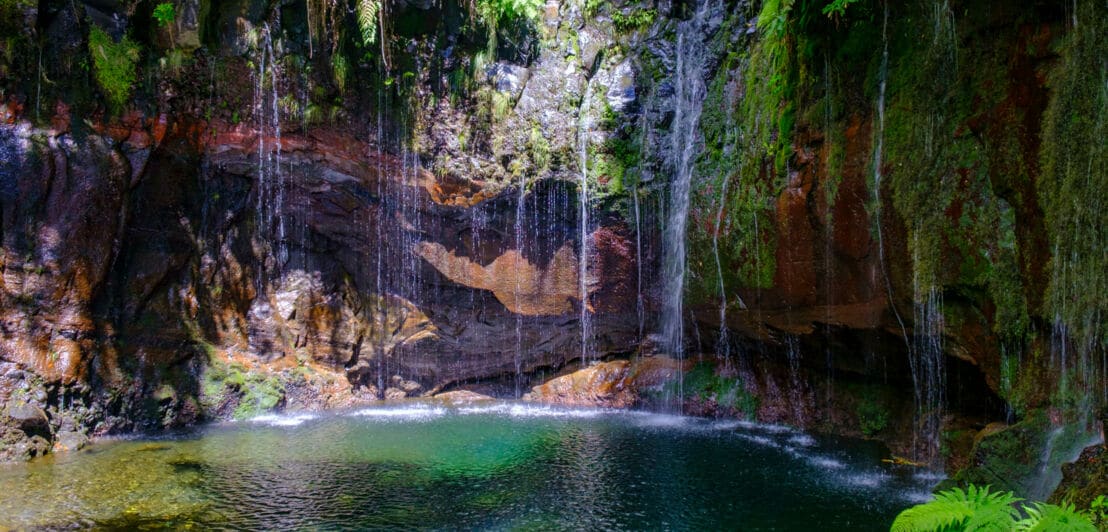 Nahaufnahme des Sees der 25 Quellen auf Madeira mit Felswand im Hintergrund, an der Wasser herabläuft.