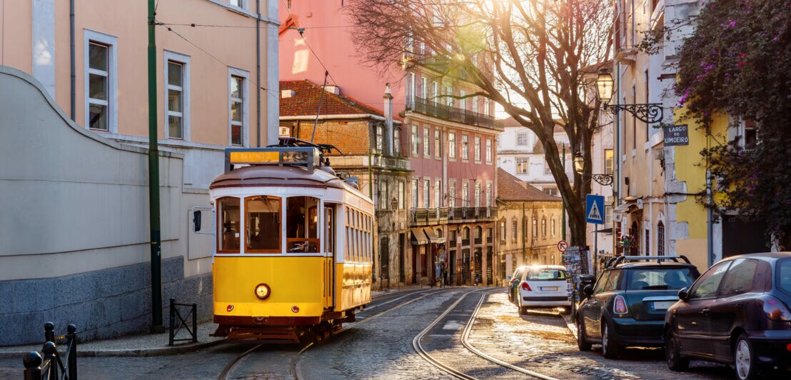 Gelbe Straßenbahn auf einer Straße mit Kopfsteinpflaster im Stadtzentrum.