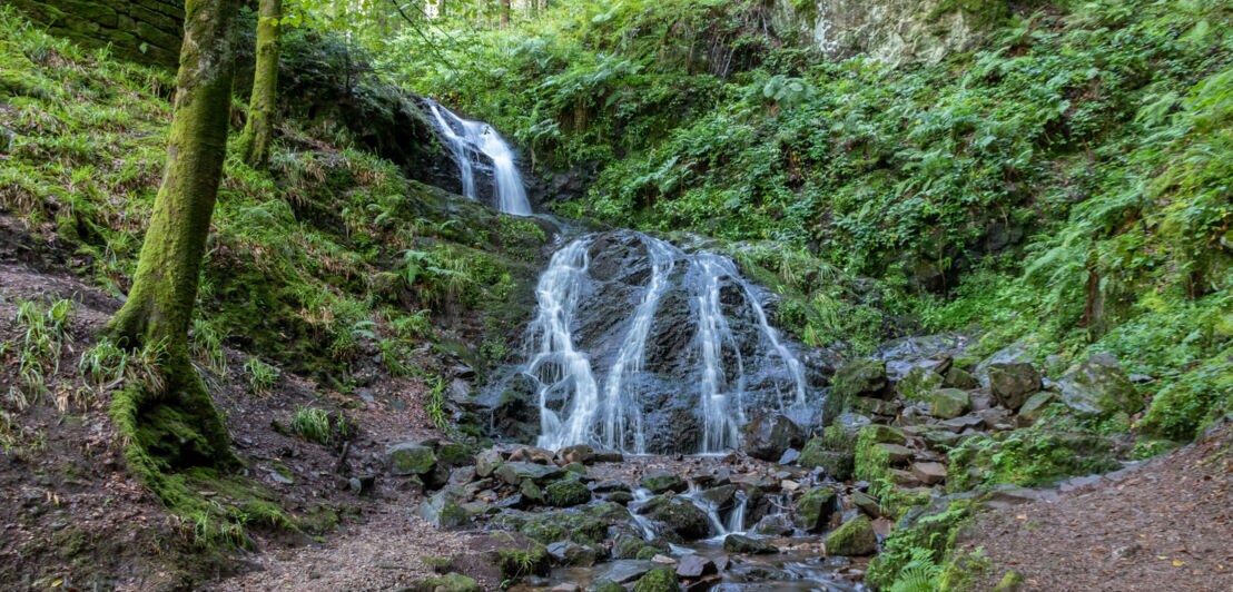 Wasser fließt den Holchenwasserfall im Schwarzwald hinab.