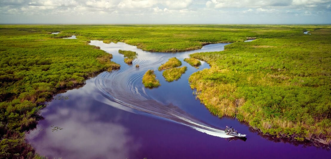 Drohnenaufnahme eines Airboats in einem Sumpfgebiet.