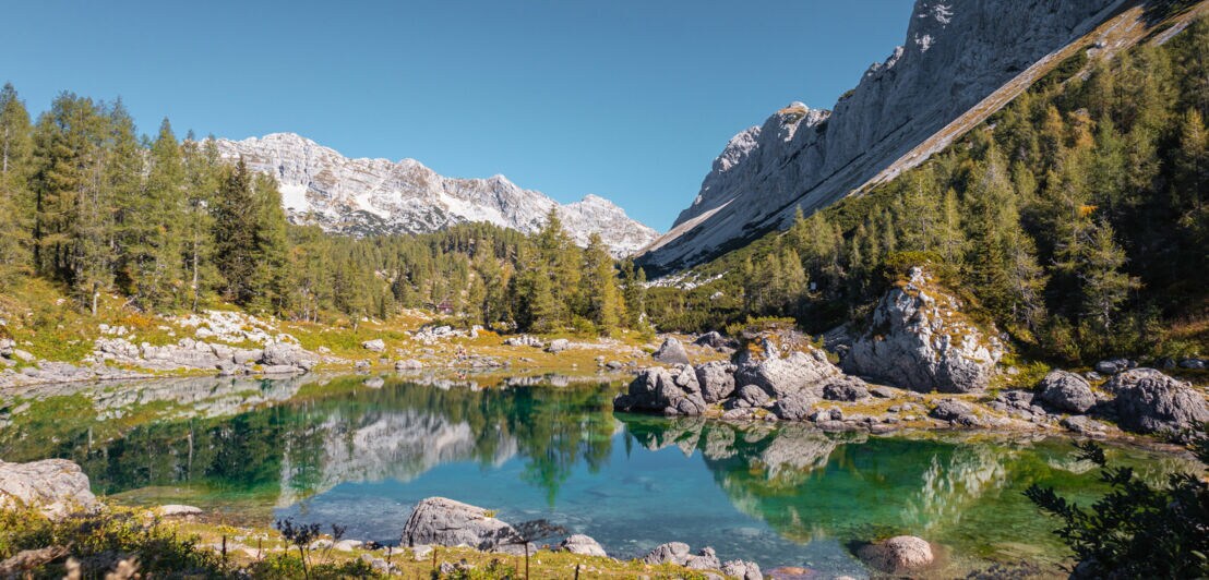 See mit Vegetation und Gipfeln im Hintergrund im Nationalpark Triglav in Slowenien.