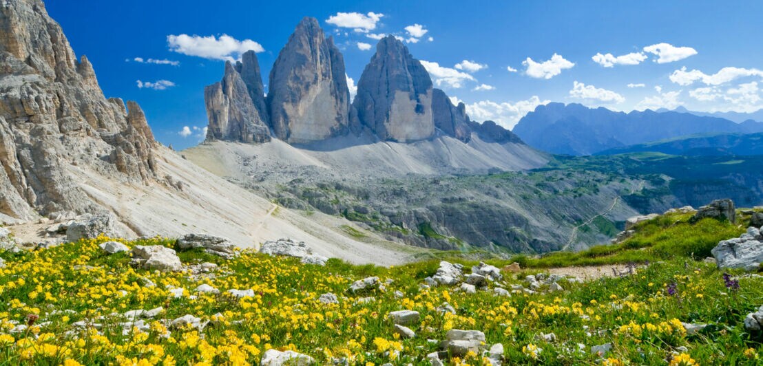 Blick auf drei markante Felstürme der Alpen, im Vordergrund eine Wiese mit gelben Blumen.