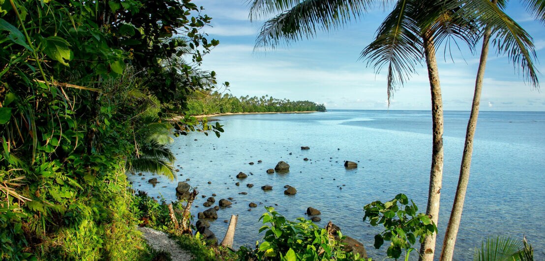 Blick vom Lavena Coastal Walk aufs Meer auf der Fidschi-insel Taveuni.