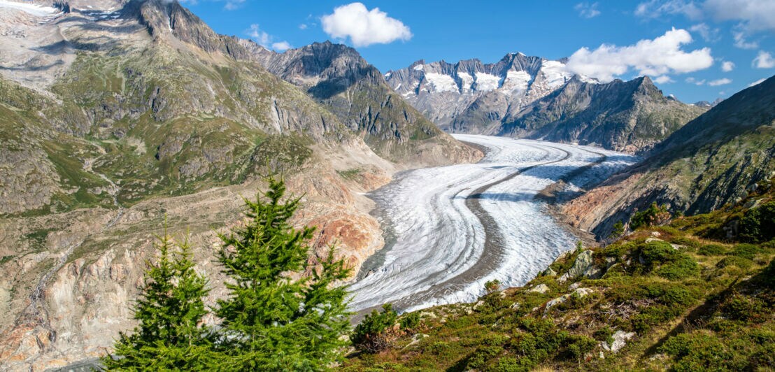 Aletschgletscher in der Schweiz.