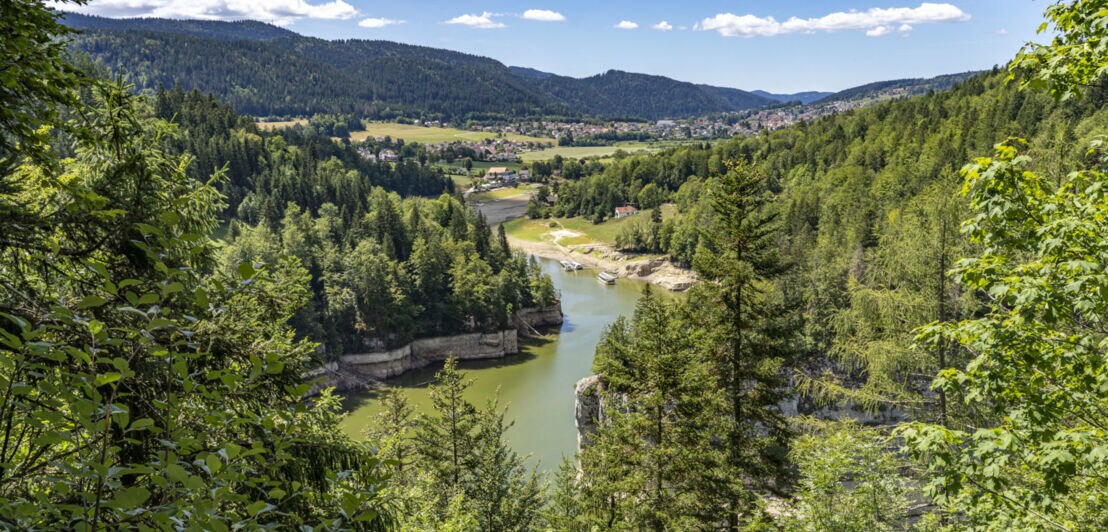 Der Fluss Doubs an der Grenze zwischen Frankreich und der Schweiz mit Bergen im Hintergrund und grünen Bäumen im Vordergrund.