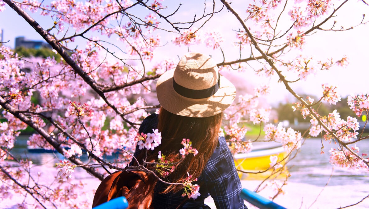 Eine Person mit Hut, die unter einem blühenden Kirschbaum steht.