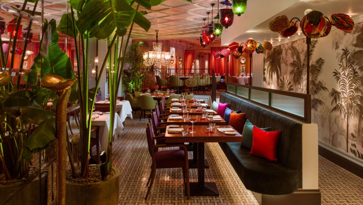 Farbenfroh eingerichteter Speisesaal eines modernen Restaurants mit Palmendekor.