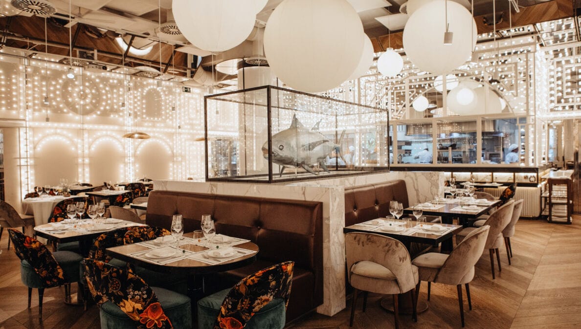 Modernes Restaurant mit zahlreichen Lichtern an Decke und Wänden, im Mittelpunkt eine Haifisch-Skulptur in einem Glaskasten.