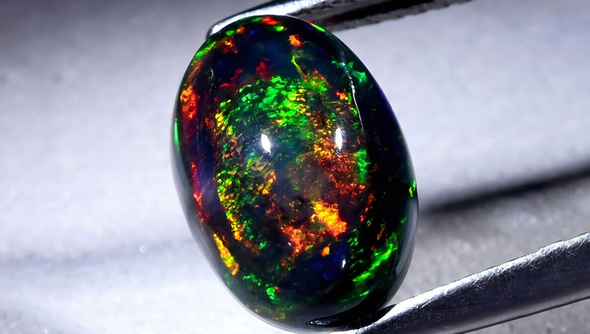 Nahaufnahme eines ovalen schwarzen Opals mit buntem Farbenspiel zwischen einer Pinzette.