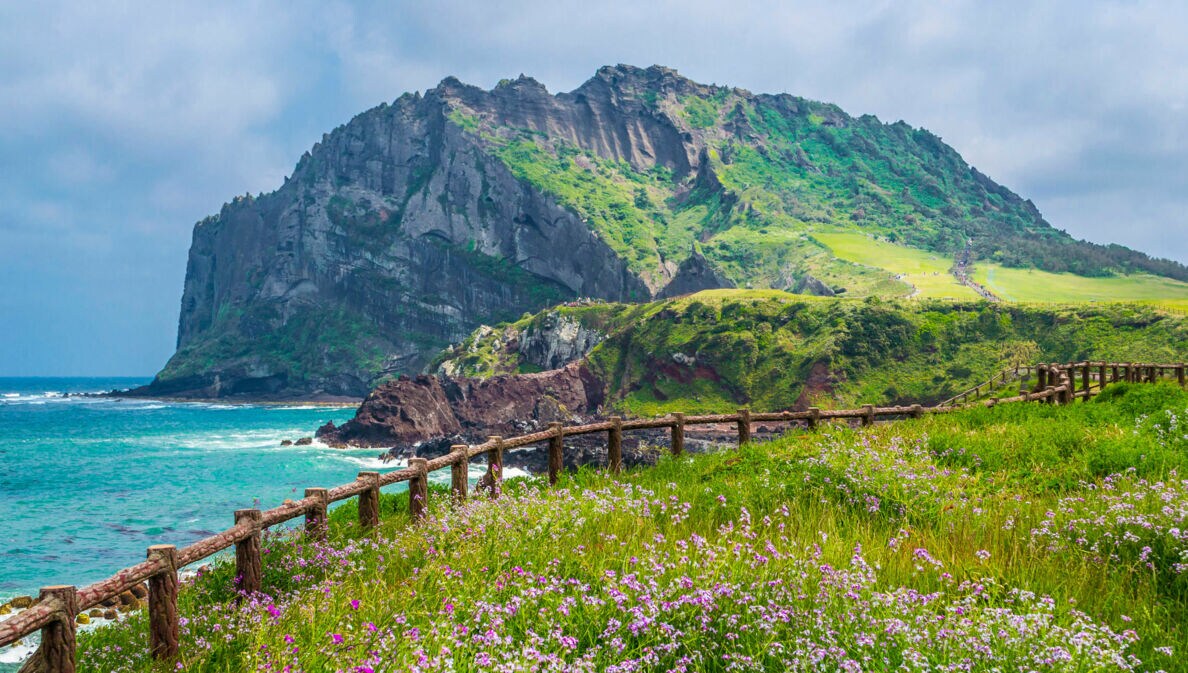 Die vulkanische Seongsan Ilchulbong auf der Insel Jejudo in Südkorea.