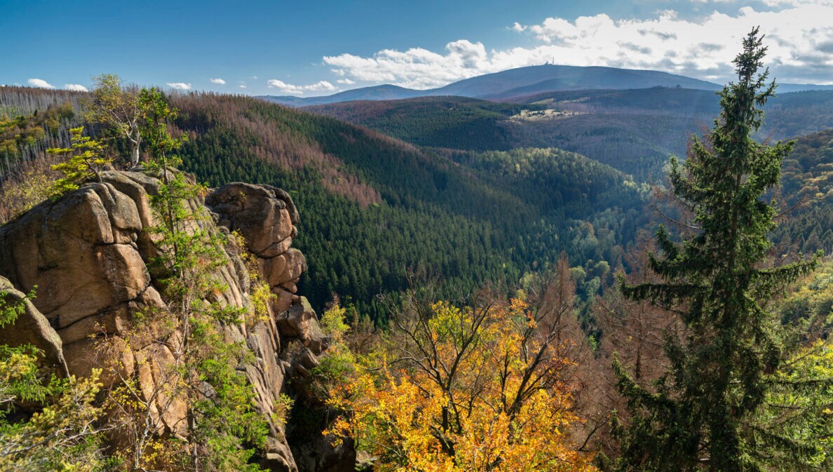 Blick über Waldlandschaft mit Gipfeln im Hintergrund im Herbst, ein Felsen im Vordergrund.