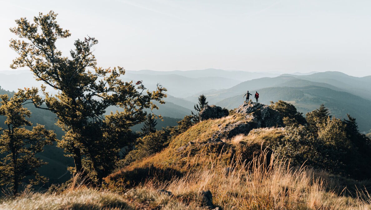 Zwei Personen stehen auf einem Felsen und blicken in die Ferne, im Hintergrund Gipfel im Schwarzwald.