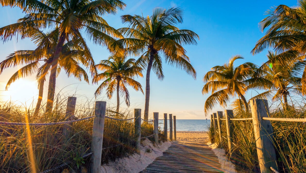 Weg zu einem Sandstrand mit Palmen unter blauem Himmel im warmen Sonnenlicht.