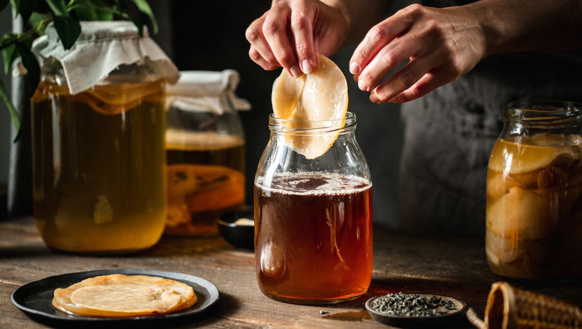 Ein Kombucha-Pilz wird von einer Hand in ein Gefäß mit brauner Flüssigkeit auf einem Holztisch gegeben, daneben weitere befüllte Einmachgläser.