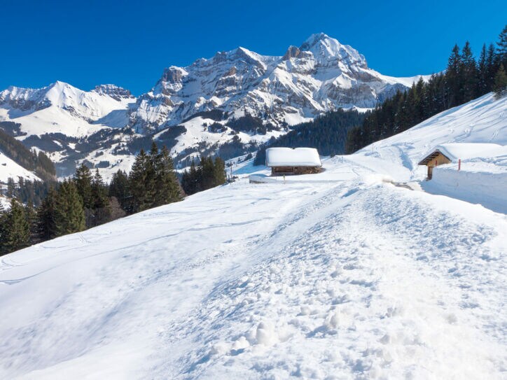 Das Skigebiet rund um Adelboden im Berner Oberland