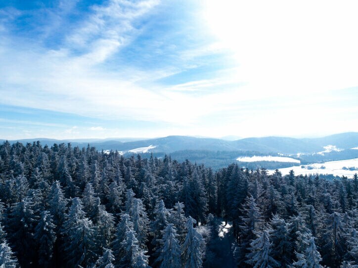 Blick über schneebedeckte Wälder und Berge