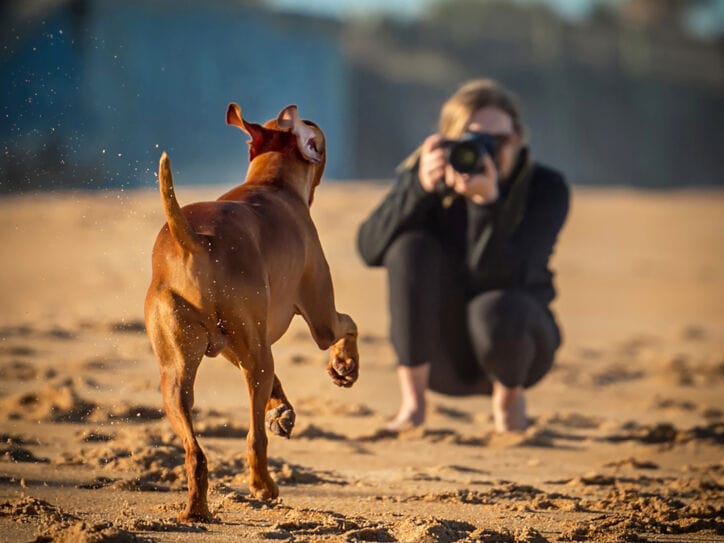 Ein Hund rennt auf eine junge Frau mit Kamera zu