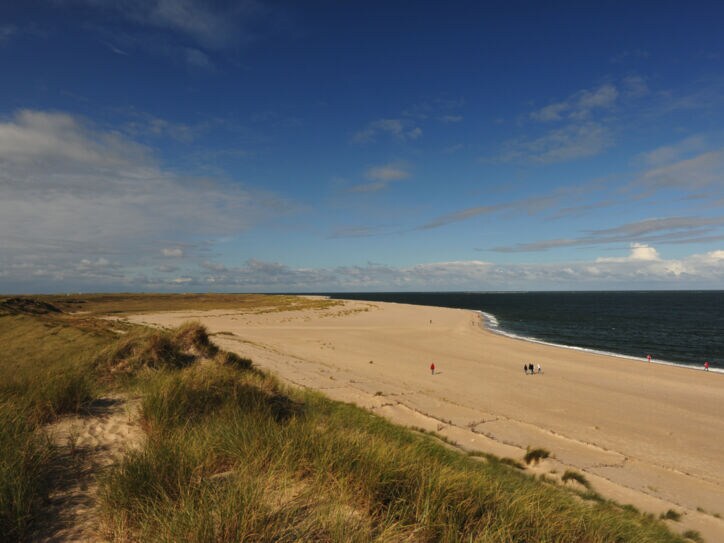 Personen spazieren auf einem breiten Sandstrand an einer grasbewachsenen Dünenlandschaft