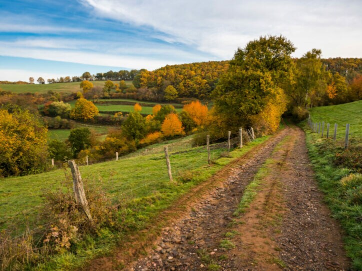 Ein Feldweg durch eine hügelige Wiesen- und Waldlandschaft im Herbst.