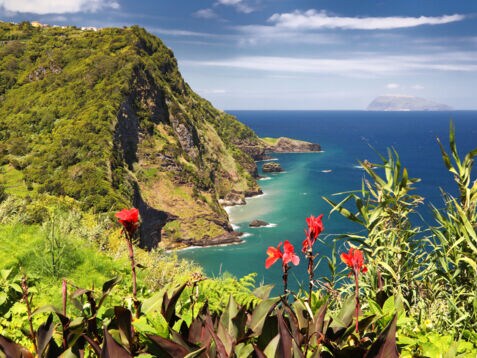 Panoramablick über die Klippen, das Meer und die Flora der Azoreninsel Flores