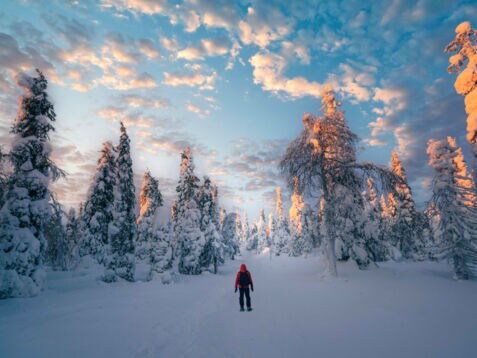 Eine Person von hinten in einem verschneiten Wald.