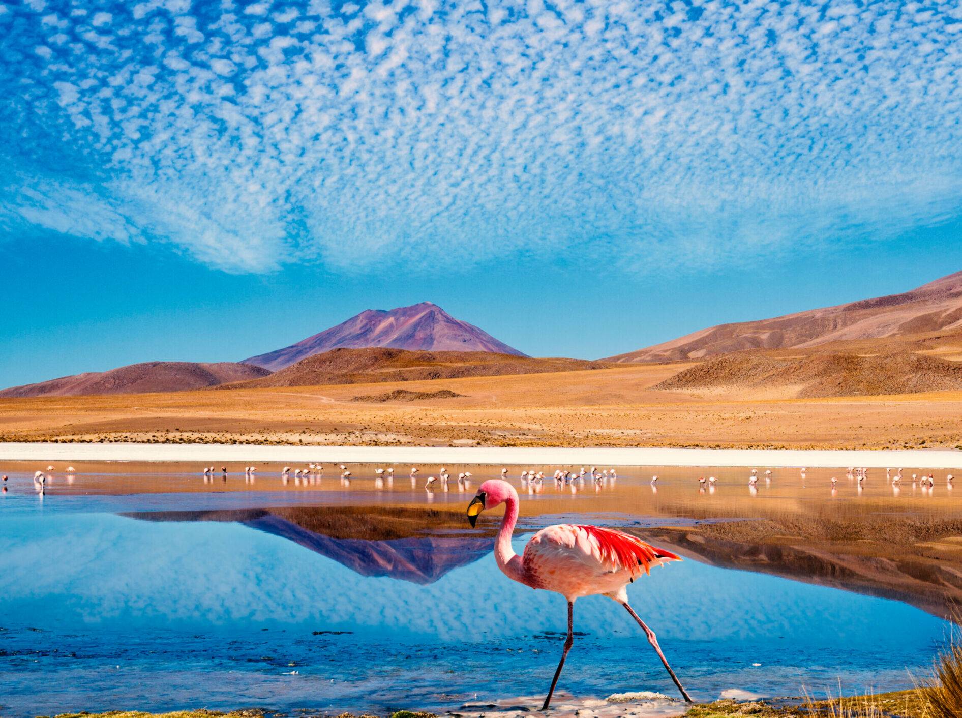 Was ist das Besondere am Salar de Uyuni?