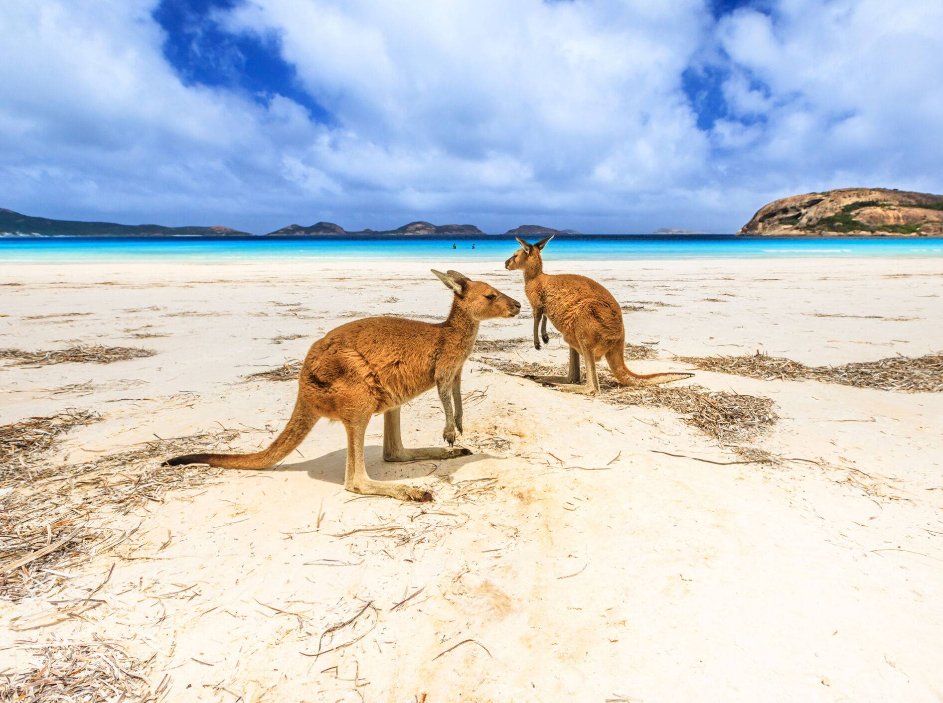 Australiens Sehenswürdigkeiten 20 besonders schöne   AMEXcited