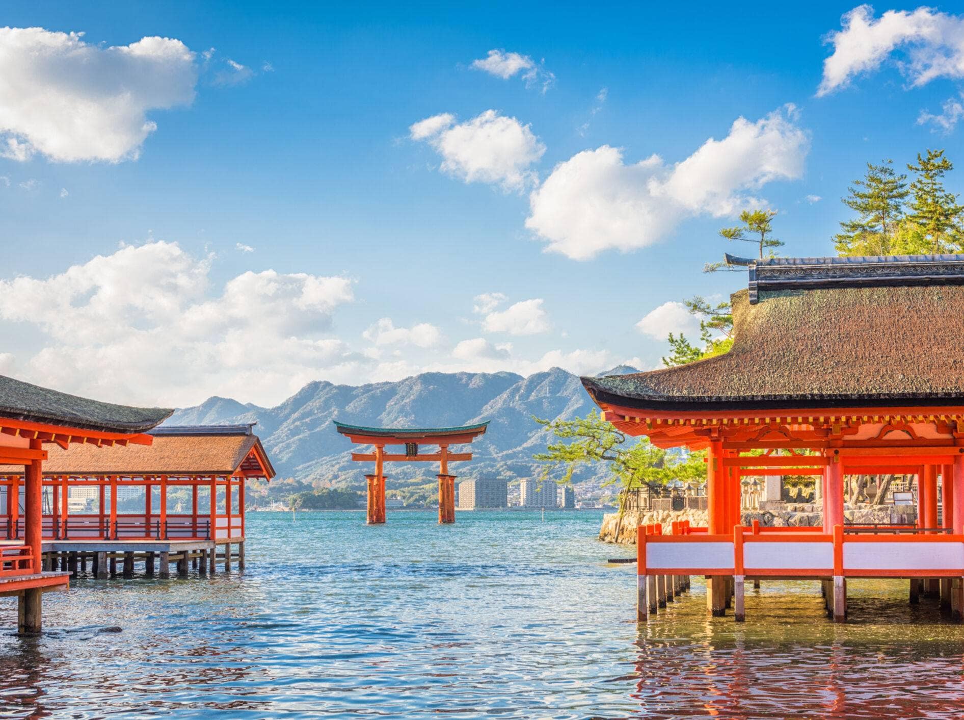 Japanische Tempel: Diese 7 solltest du gesehen haben | AMEXcited