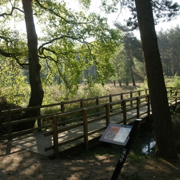 Eine kleine Holzbrücke führt über einen Bach